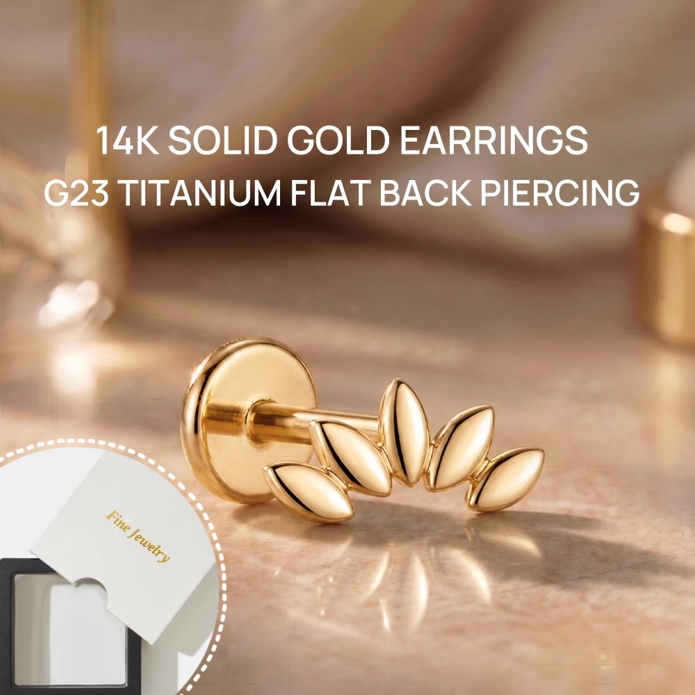 DIeSchein 14K Solid Gold Stud  - Body Jewelry Titanium 评论和价格