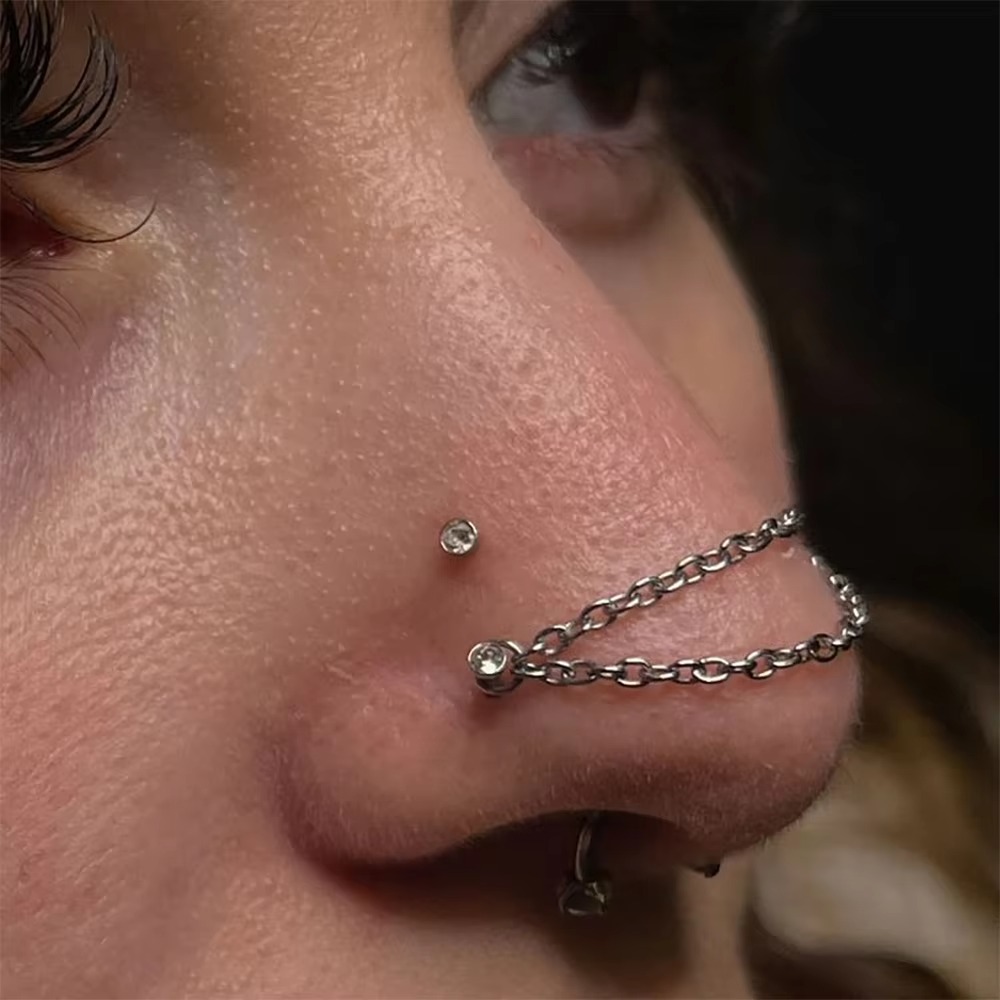 Fashion Titanium Nose Chain Do - Body Jewelry Titanium 评论和价格